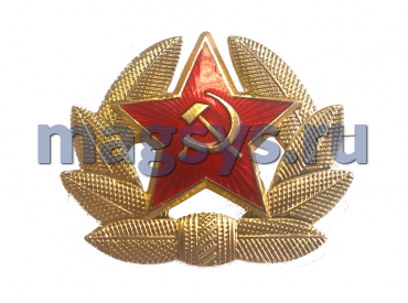 Знак со звездой "Вооруженные силы СССР"